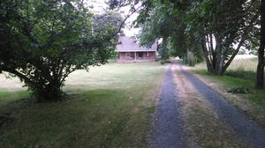 My childhood home in Creswell, Oregon. Picture taken looking up the long gravel driveway with the brown farmhouse at the end and trees flanking both sides.